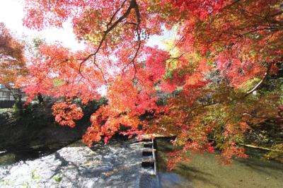 秋には紅葉狩り。